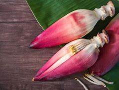 Khasiat Jantung Pisang Hutan